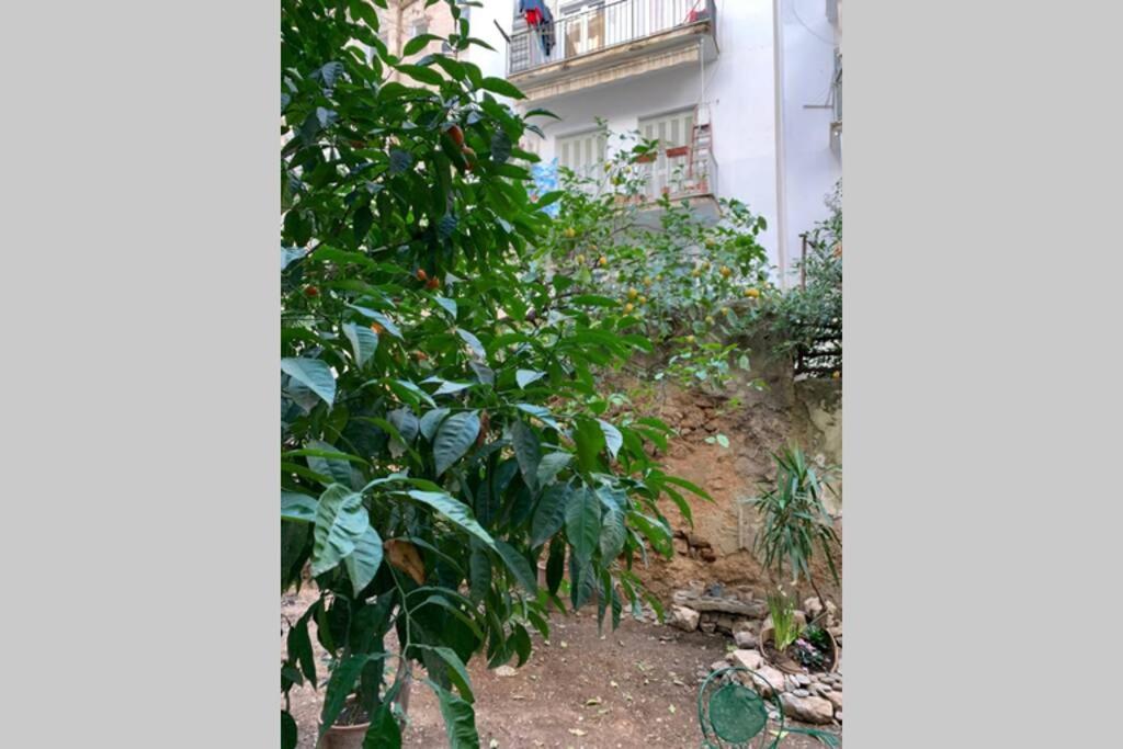 Quiet And Central Flat With Private Backyard Garden Athens Exterior photo