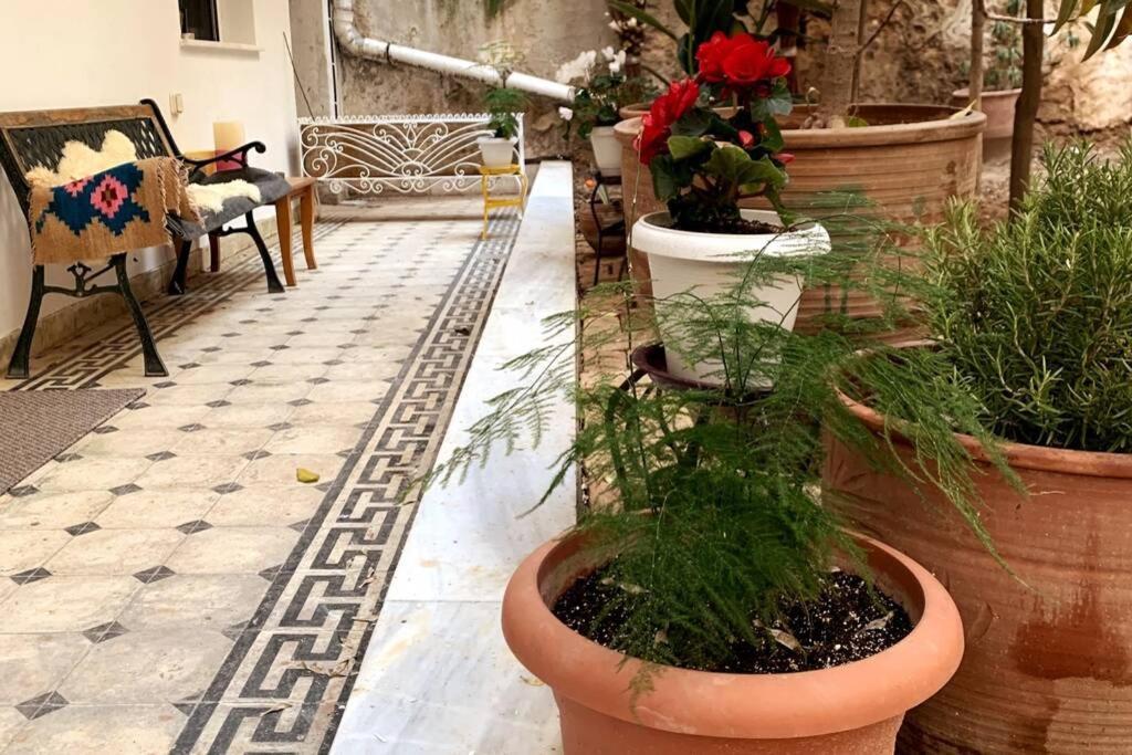 Quiet And Central Flat With Private Backyard Garden Athens Exterior photo