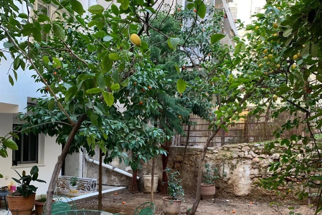 Quiet And Central Flat With Private Backyard Garden Athens Exterior photo